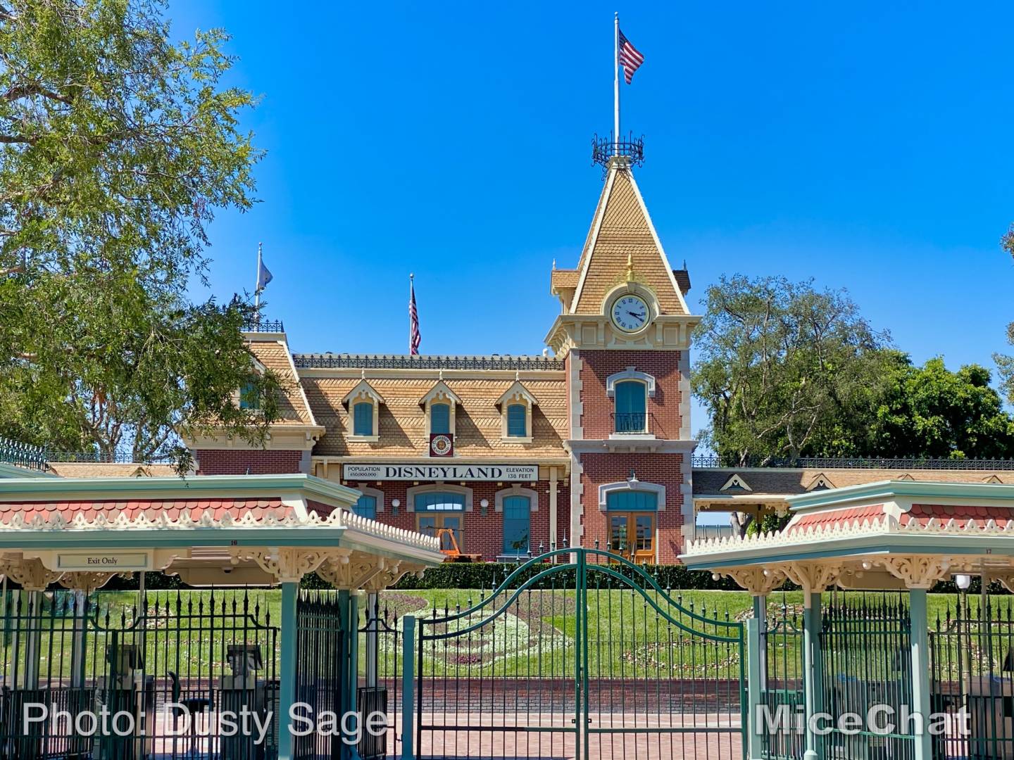 , Disneyland Update – Popping In and Bugging Out