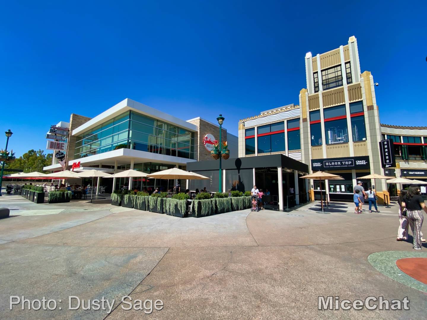 , Disneyland Update – Popping In and Bugging Out