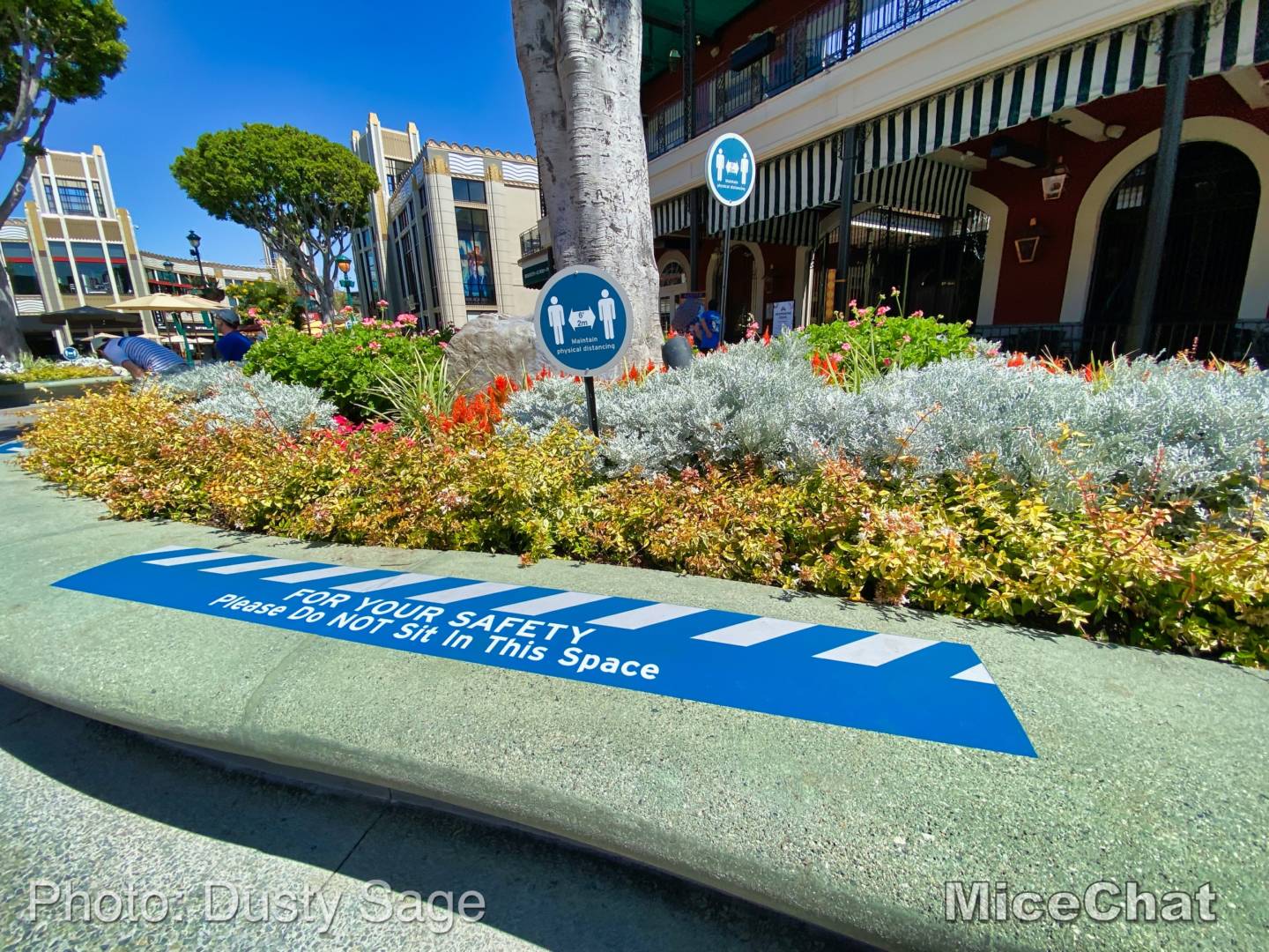 , Disneyland Update – Popping In and Bugging Out