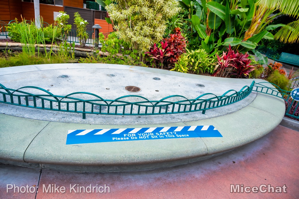 , Disneyland Update – Popping In and Bugging Out