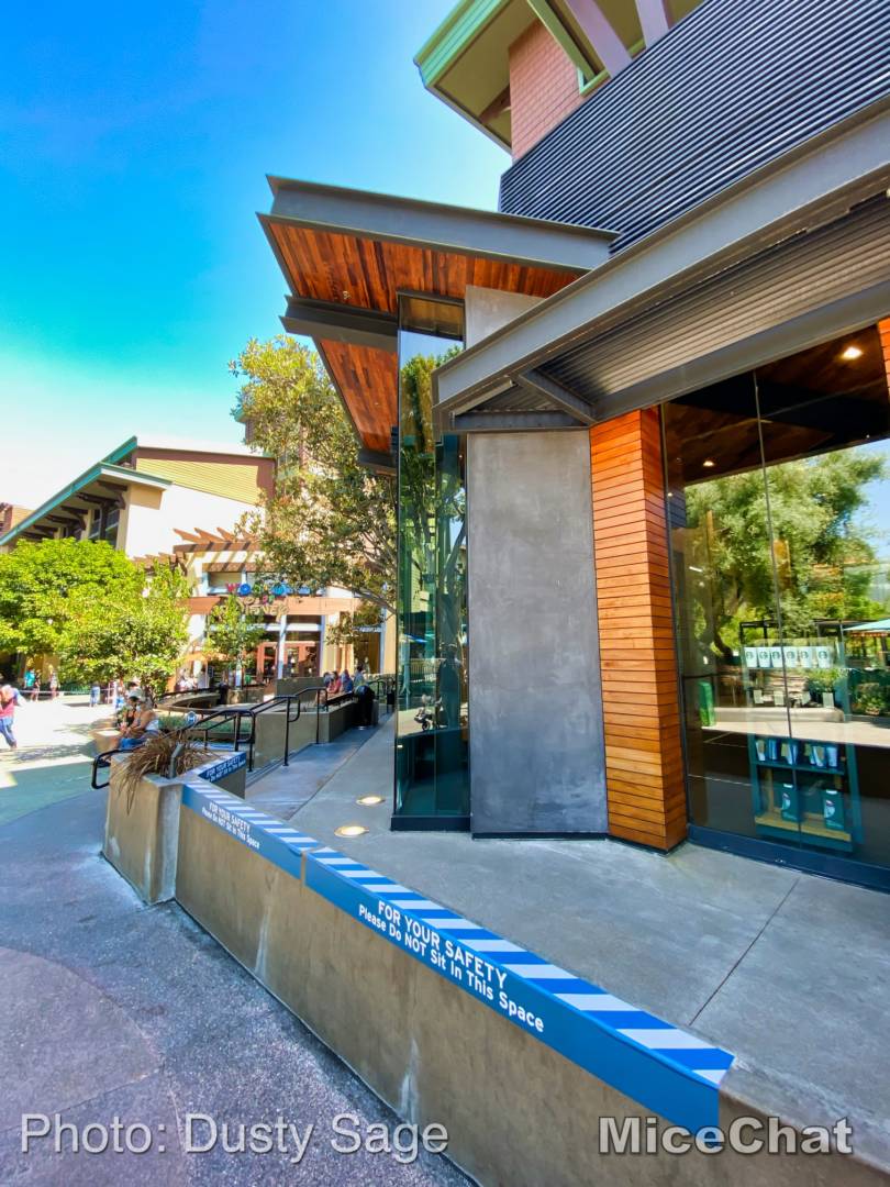 , Disneyland Update – Popping In and Bugging Out