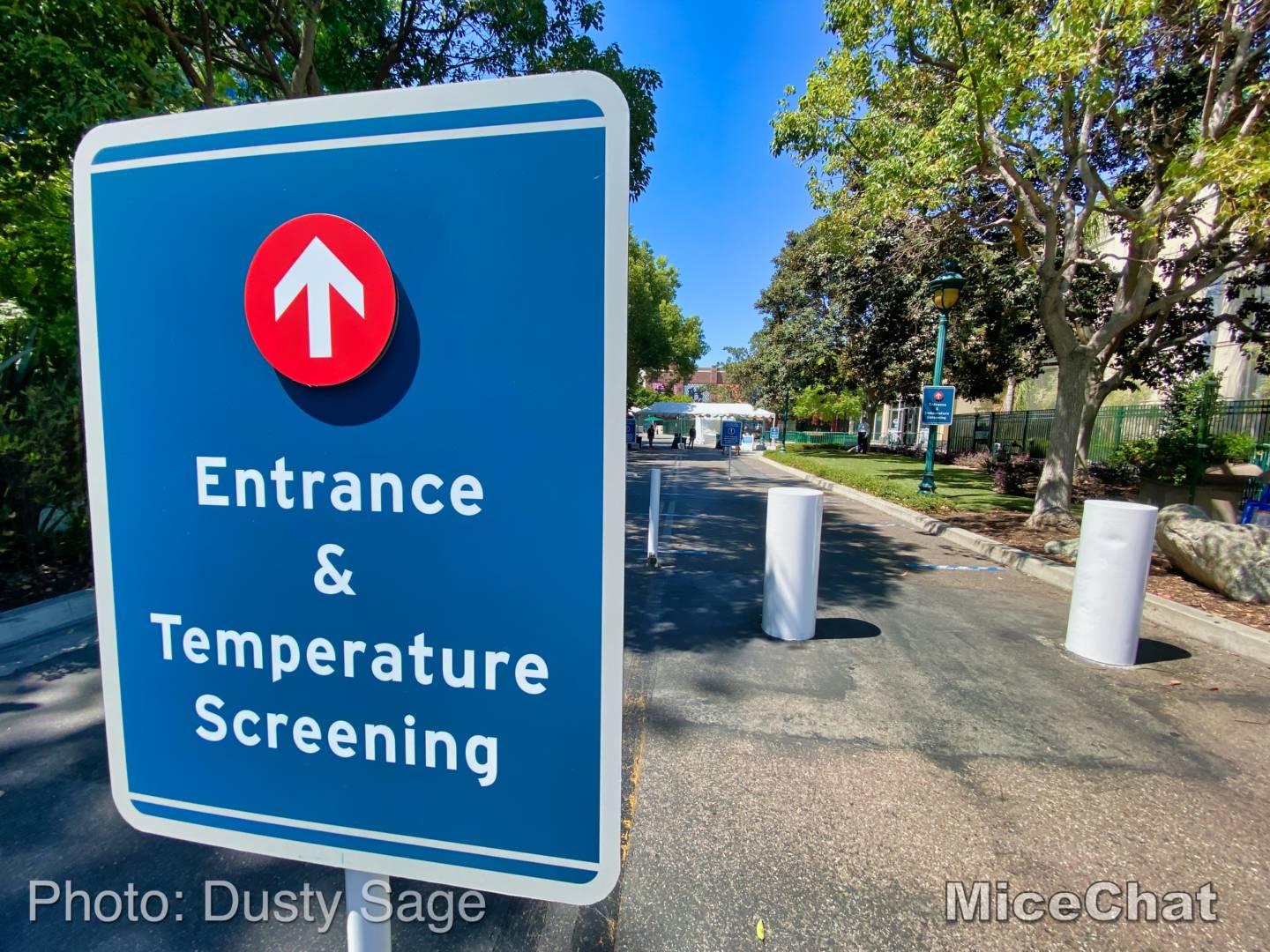 , Disneyland Update – Popping In and Bugging Out