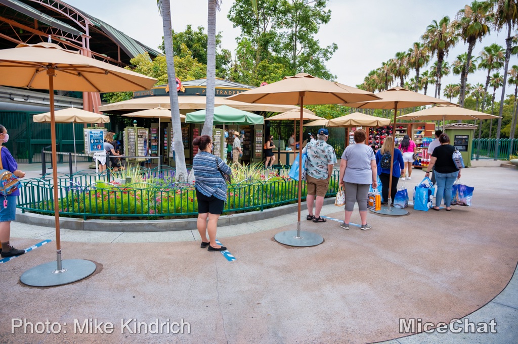 , Disneyland Update – Popping In and Bugging Out
