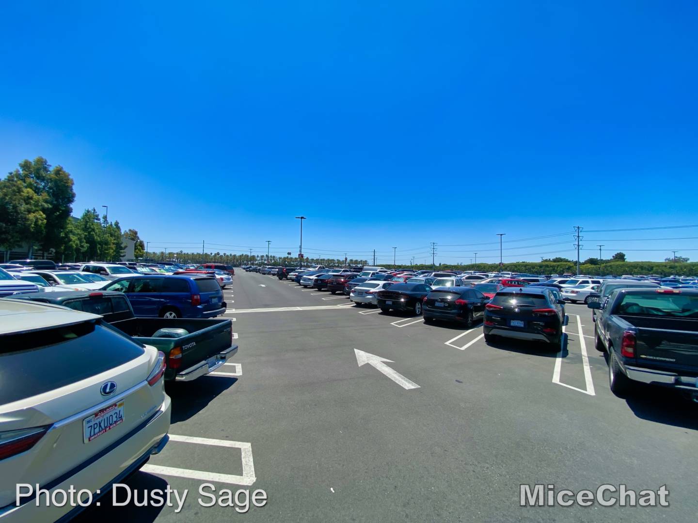Downtown Disney, Downtown Disney – What’s Open and What’s Still Closed