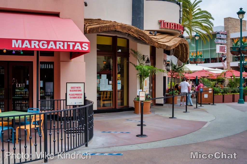 , Disneyland Update – Popping In and Bugging Out