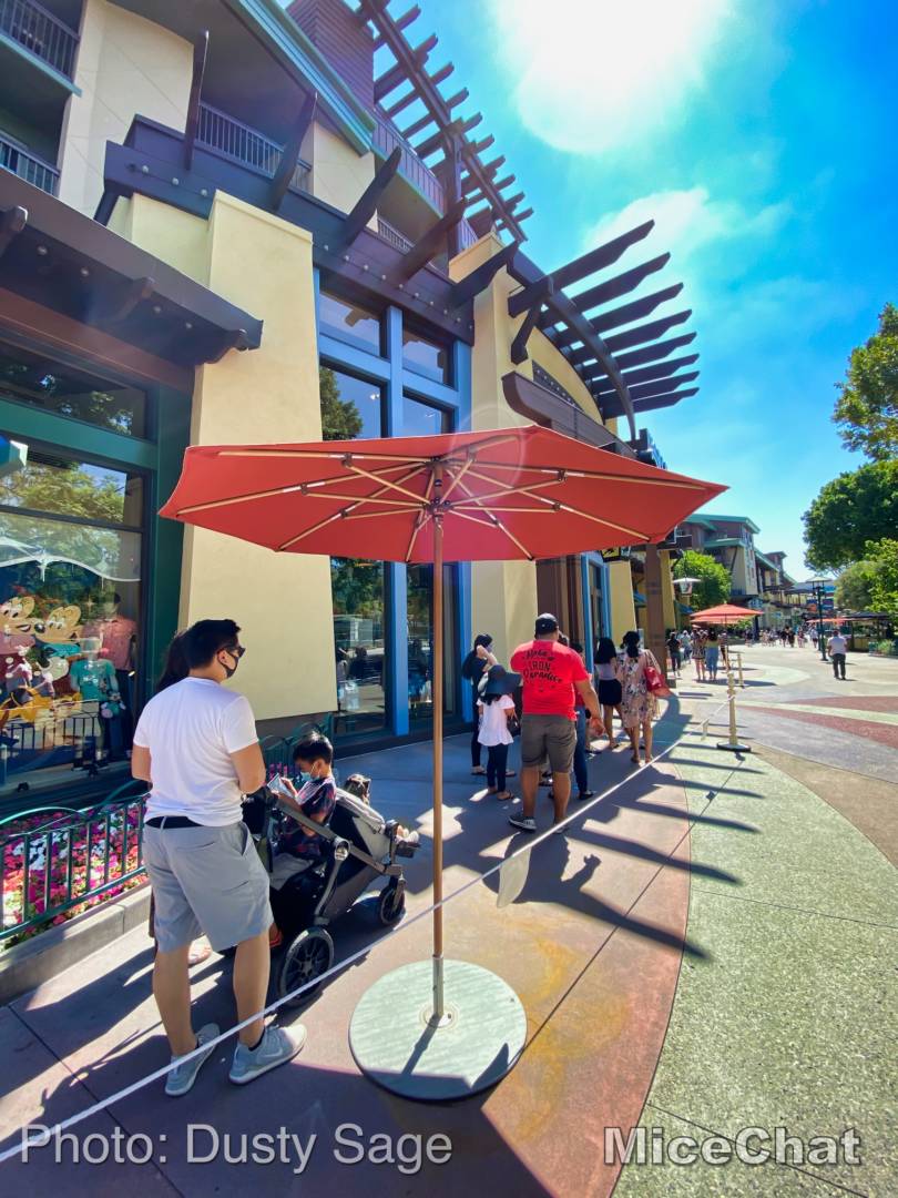 , Disneyland Update – Popping In and Bugging Out