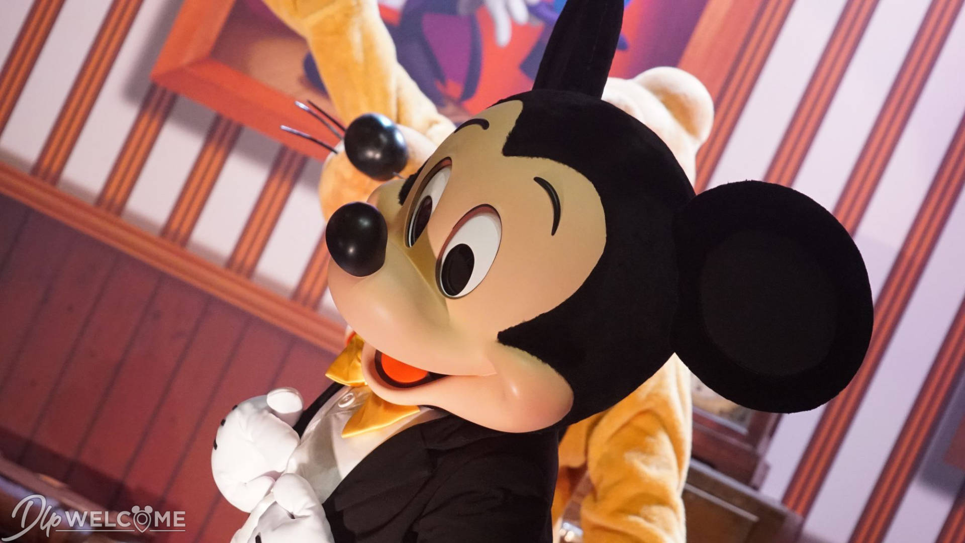Disneyland Paris, Disneyland Paris Update – Now Open to Guests!