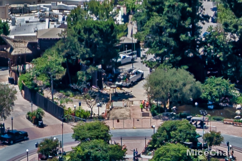, Disneyland Update – Popping In and Bugging Out
