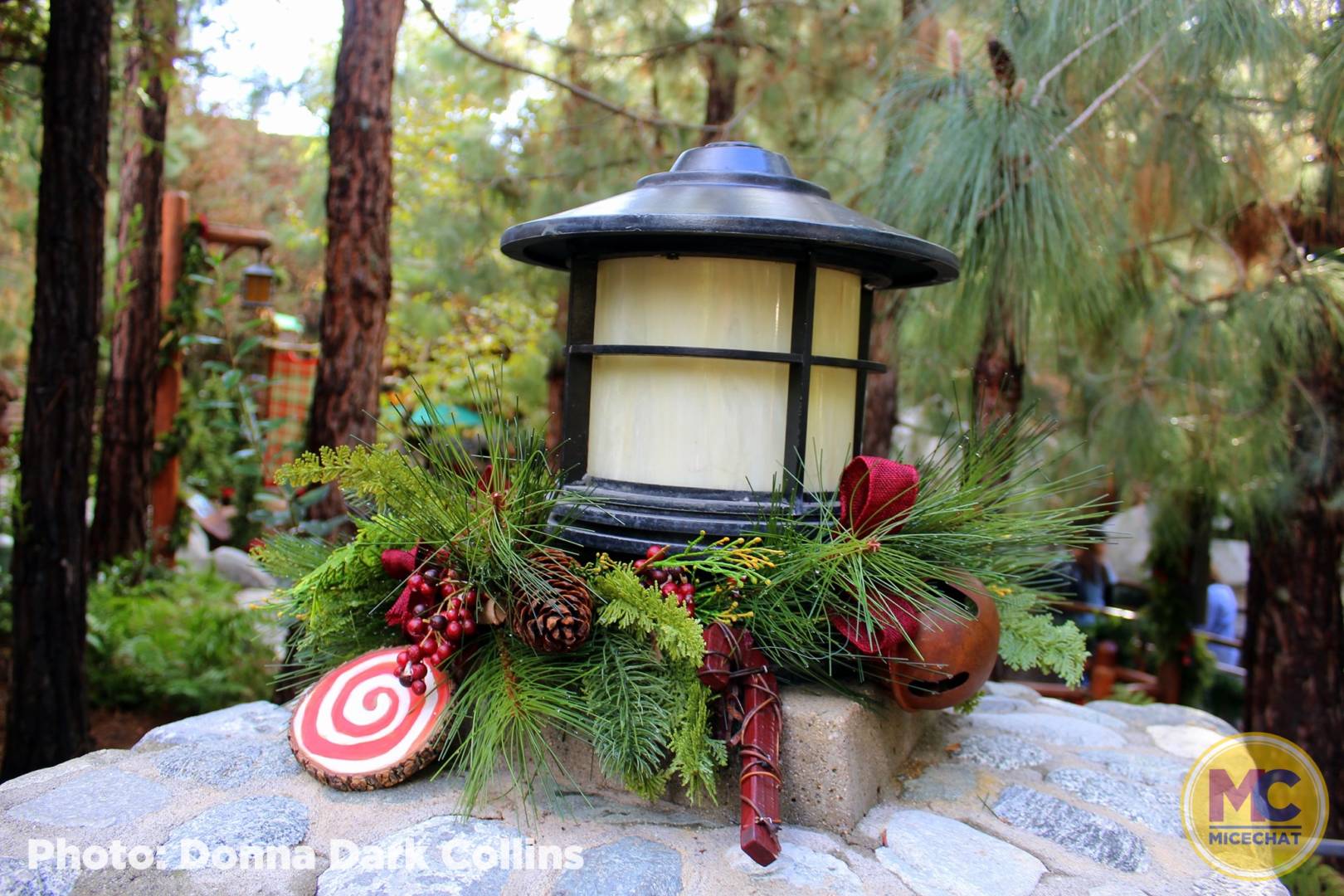 , Disneyland Update – It’s Beginning to Look a Lot Like Progress