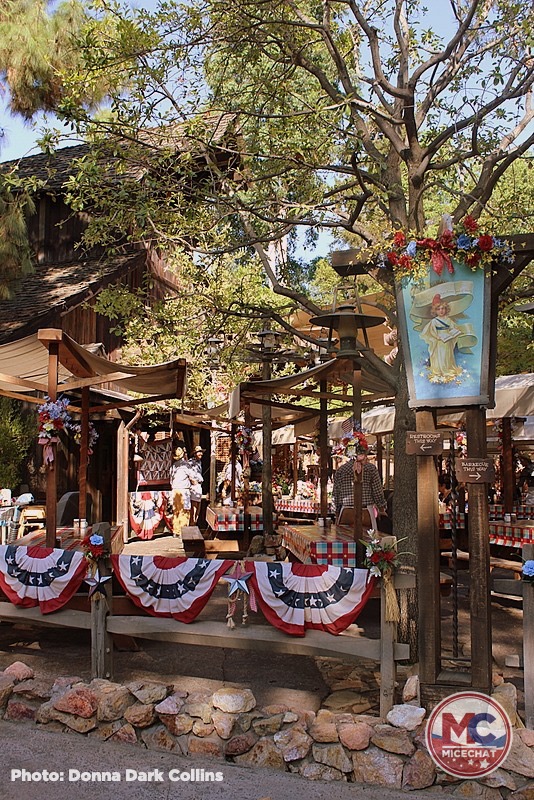 , Disneyland Update – Partial Reopening Begins This Week & Aerial Photos