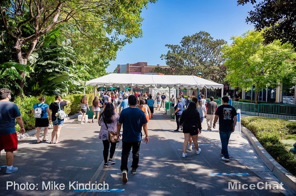 , Disneyland Update – 65th Anniversary Tragic Celebration