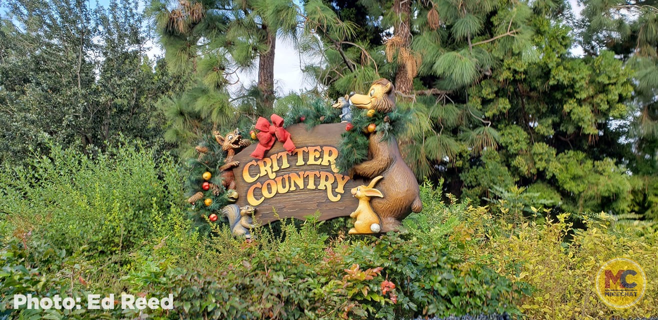 , Disneyland Update &#8211; It&#8217;s Beginning to Look a Lot Like Progress