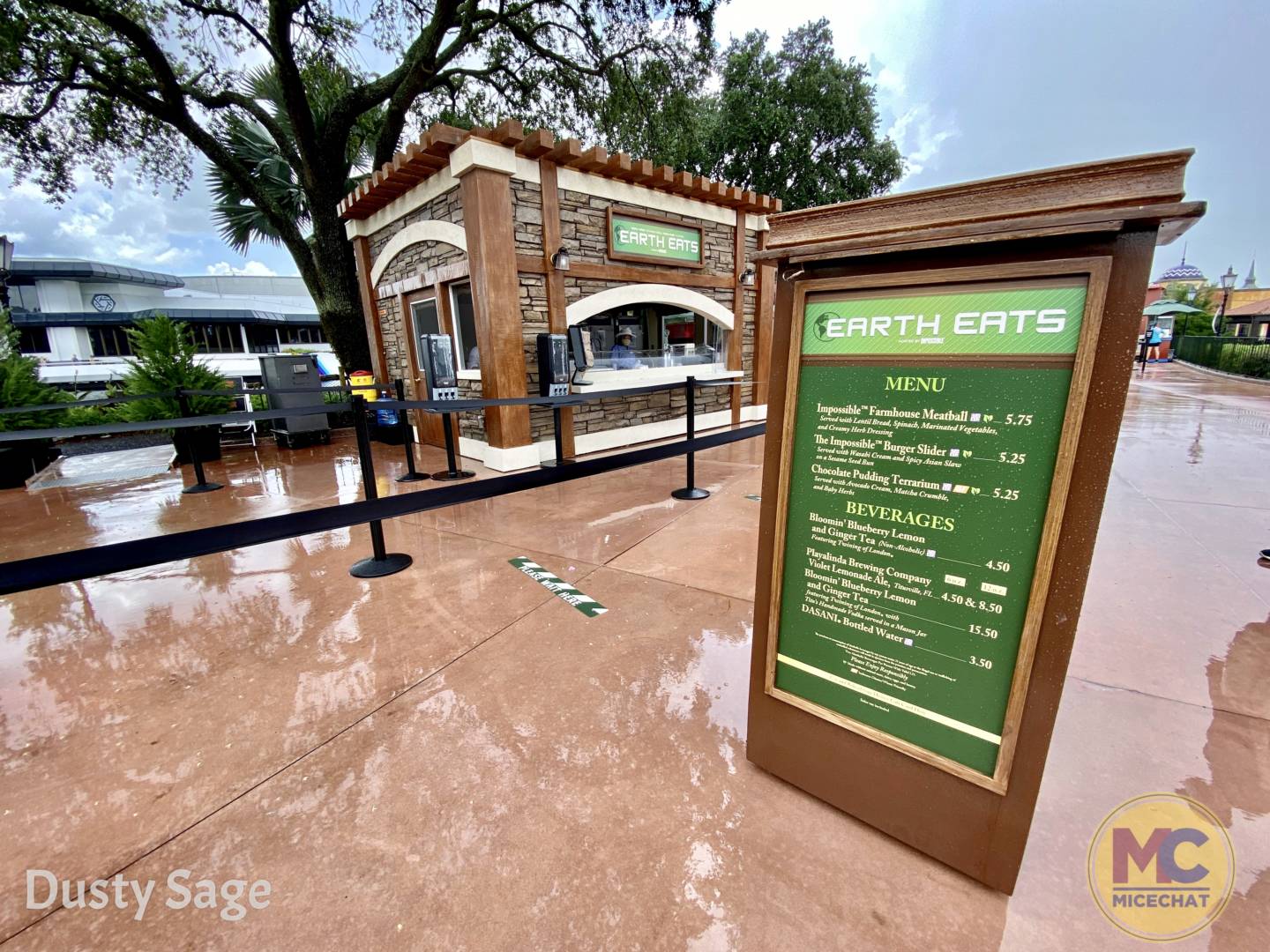 , Disney World Update – Risks and Rewards