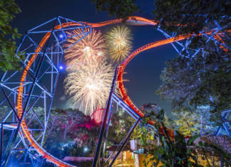Summer Nights Returns With a Shortened Run at Busch Gardens Tampa