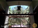 Grand-California-Monorail-Garden