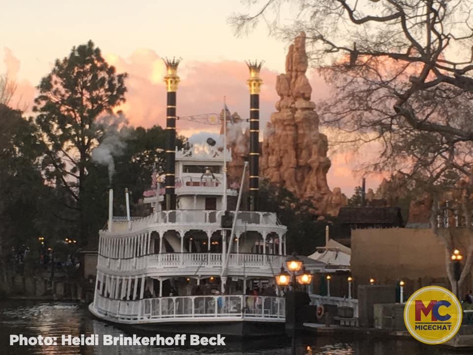 , Disneyland Update &#8211; 65th Anniversary Tragic Celebration