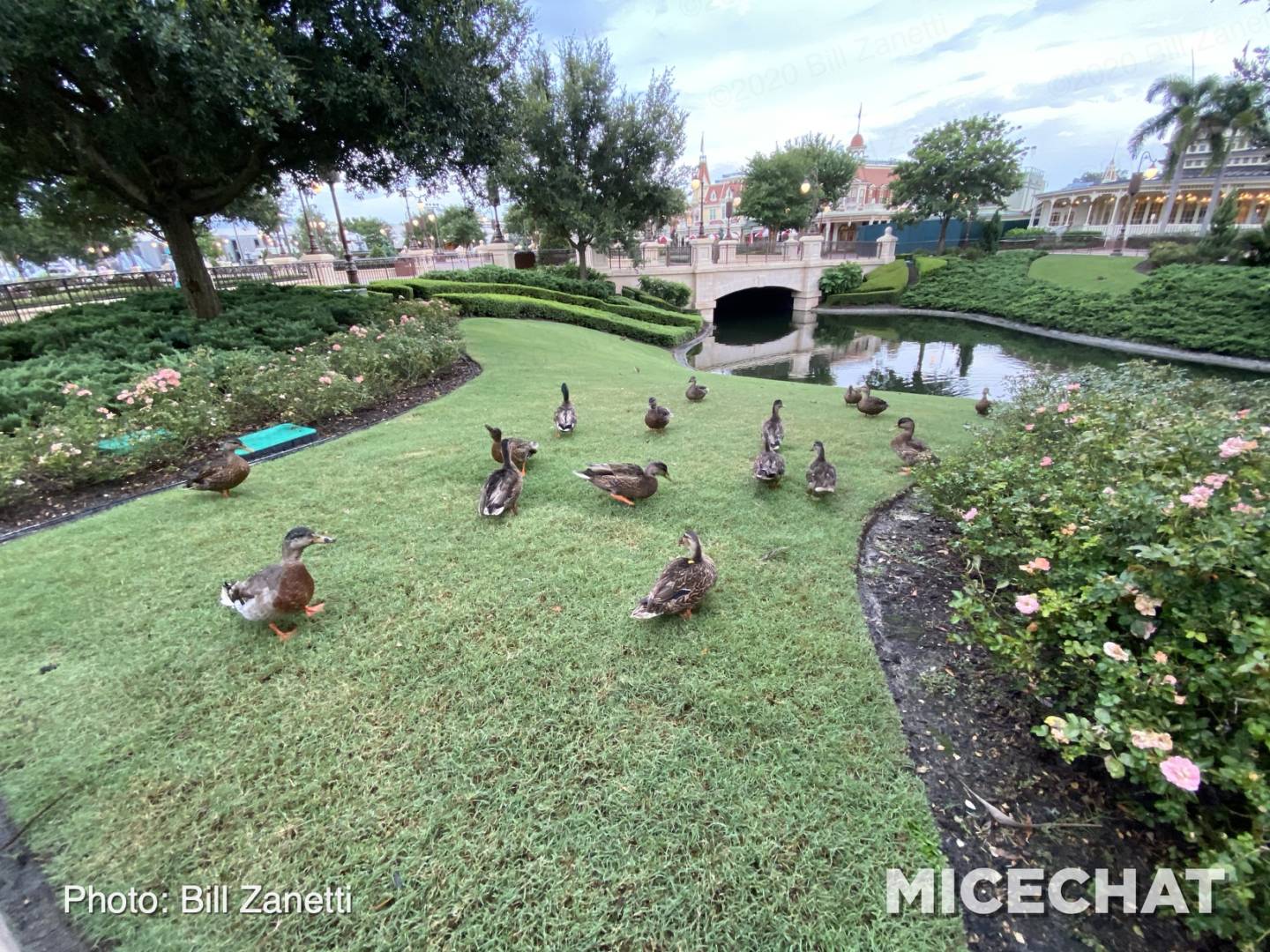 , Walt Disney World REOPENED &#8211; Our Preview Thoughts!