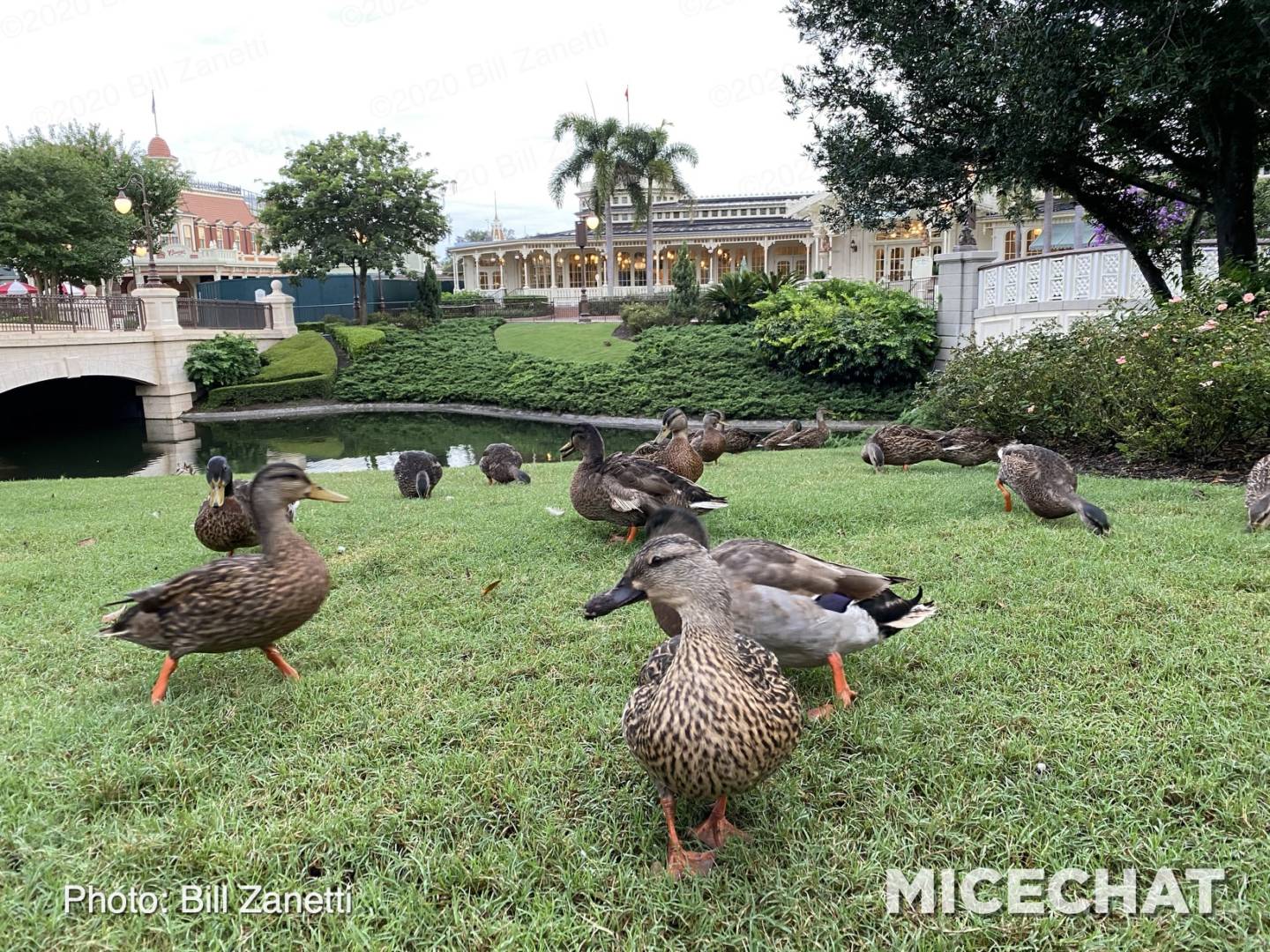, Walt Disney World REOPENED – Our Preview Thoughts!