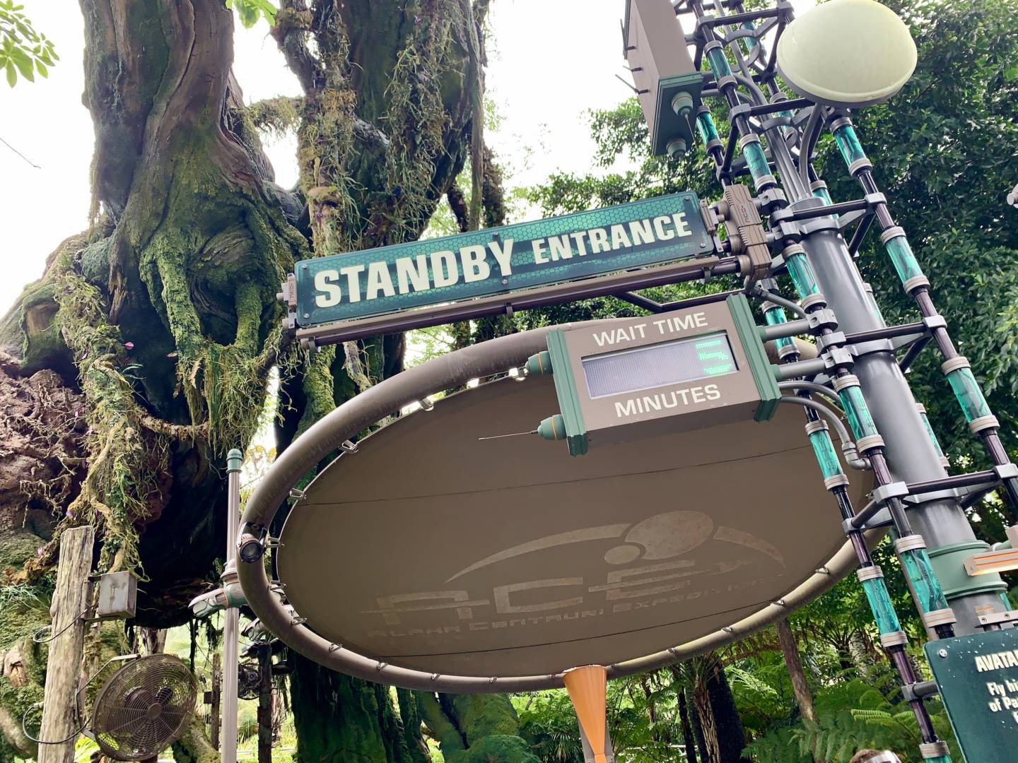 , Was the Reopening of Disney’s Animal Kingdom a Roaring Success?