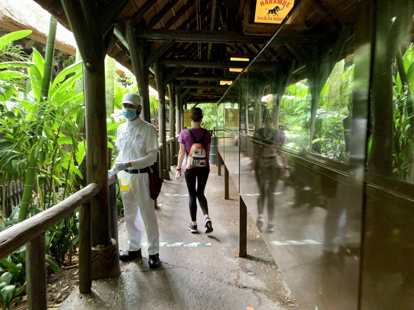, Was the Reopening of Disney’s Animal Kingdom a Roaring Success?