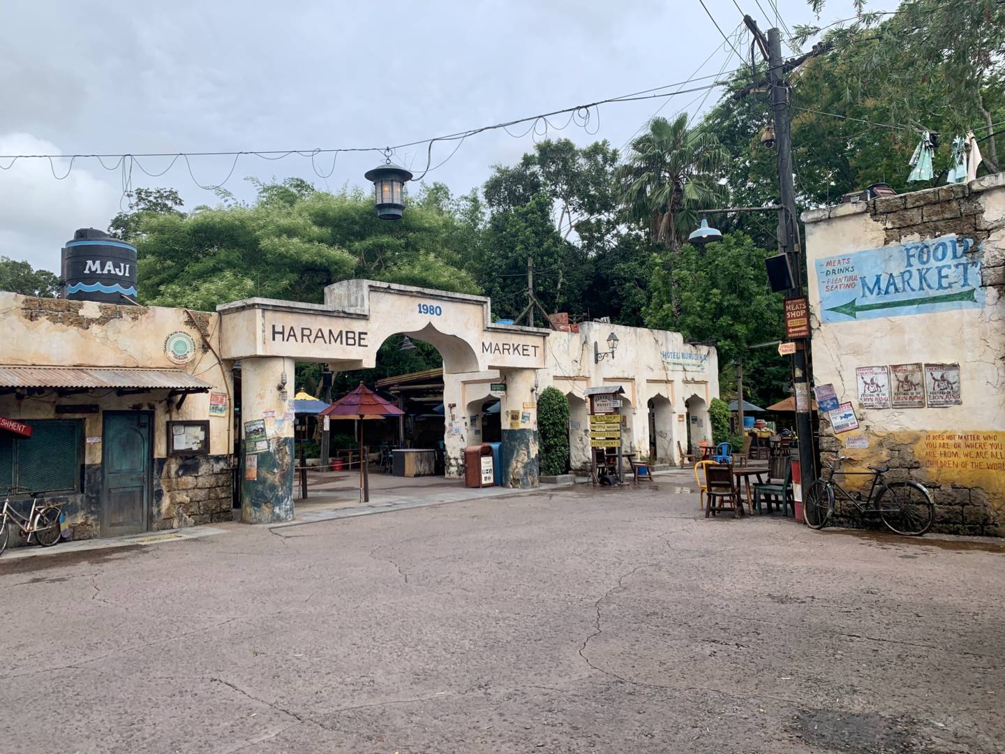 , Was the Reopening of Disney’s Animal Kingdom a Roaring Success?