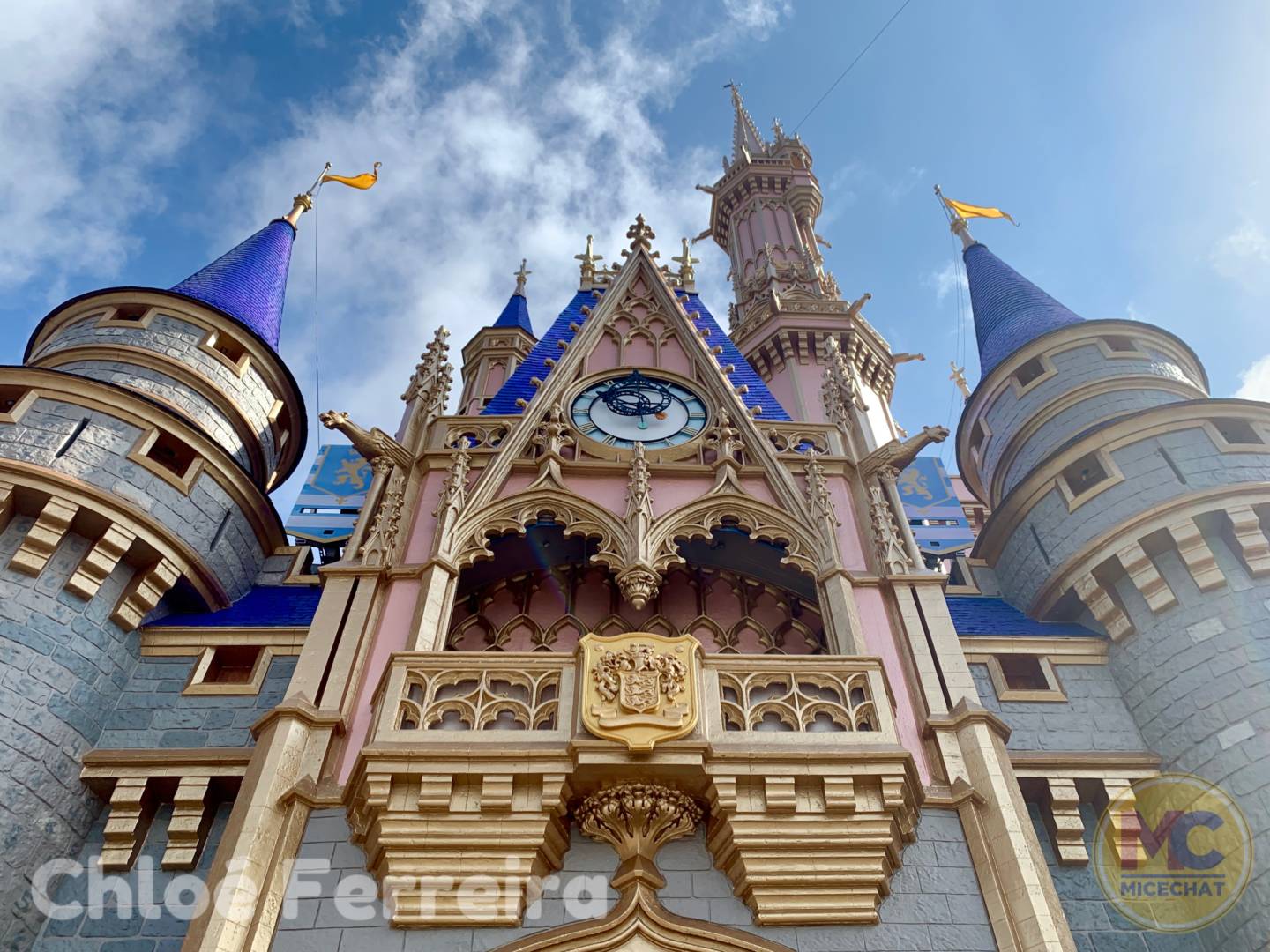 , Disney World Update – Risks and Rewards