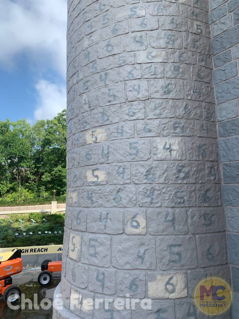 , Disney World Update – Risks and Rewards
