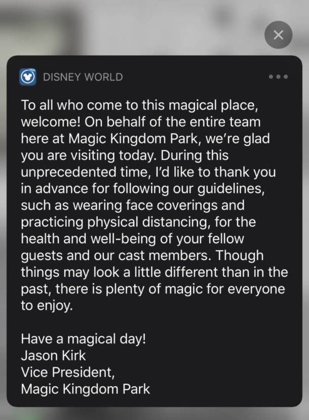, Disney World Update – Risks and Rewards