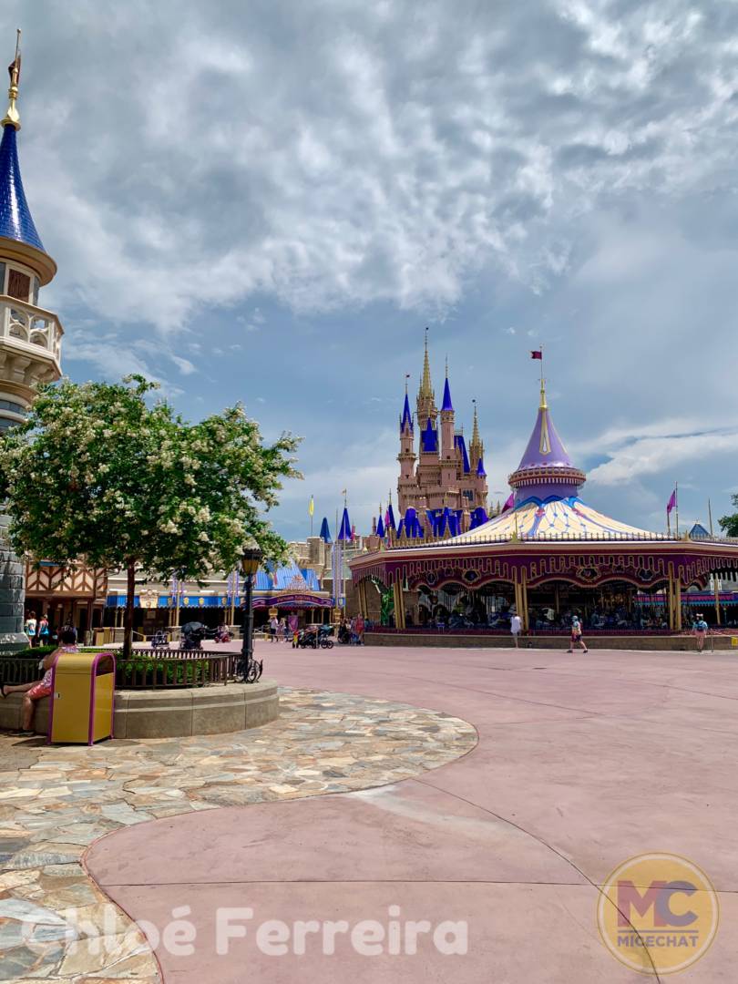 , Disney World Update – Risks and Rewards