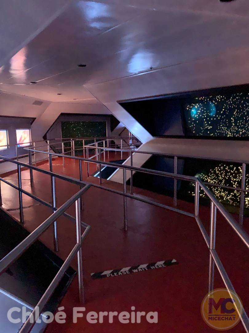 , Disney World Update – Risks and Rewards