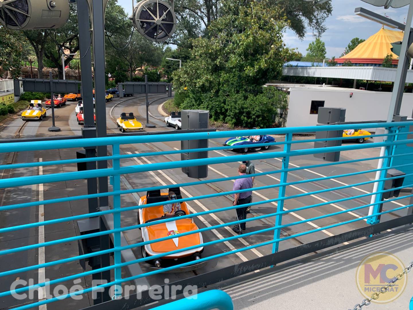 , Disney World Update – Risks and Rewards