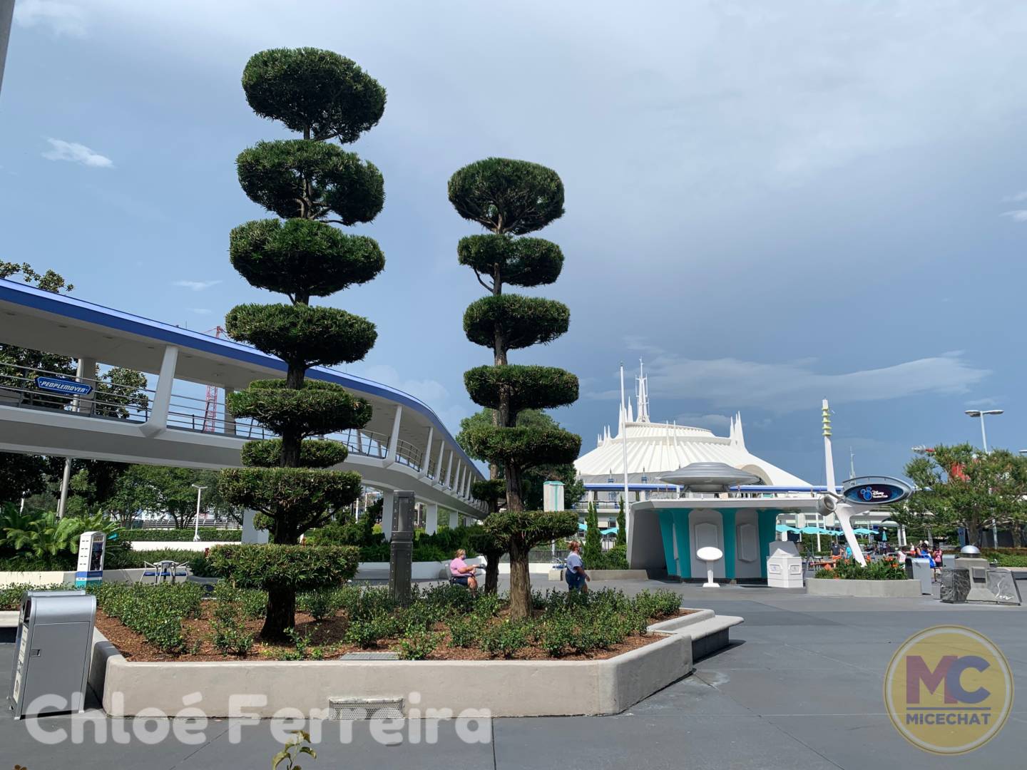 , Disney World Update – Risks and Rewards