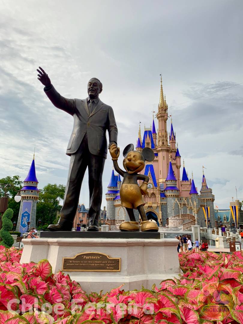 , Disney World Update – Risks and Rewards
