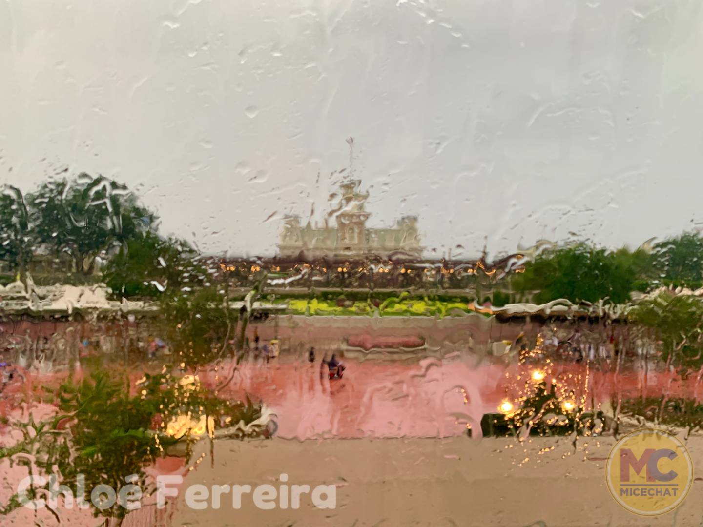 , Disney World Update – Risks and Rewards