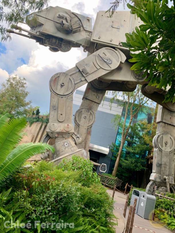 , Walt Disney World Update: Loopholes, Cancellations, & a Day at Hollywood Studios