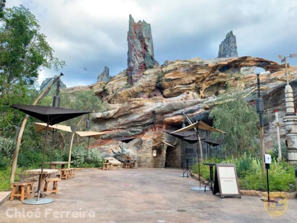 , Walt Disney World Update: Loopholes, Cancellations, & a Day at Hollywood Studios