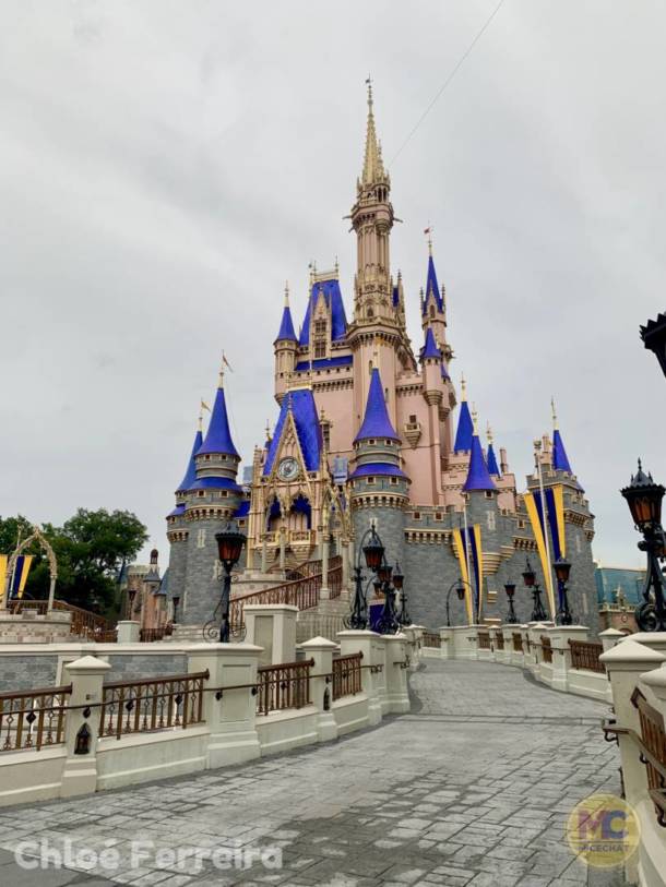 , Walt Disney World Update – No Simple Walk in the Park