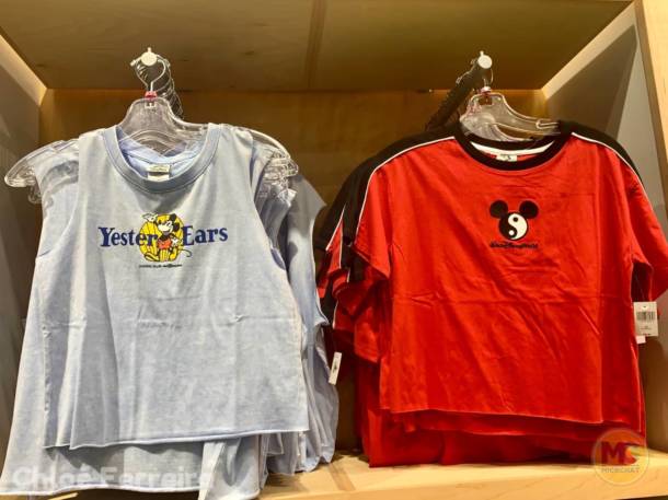 , Walt Disney World Update – No Simple Walk in the Park