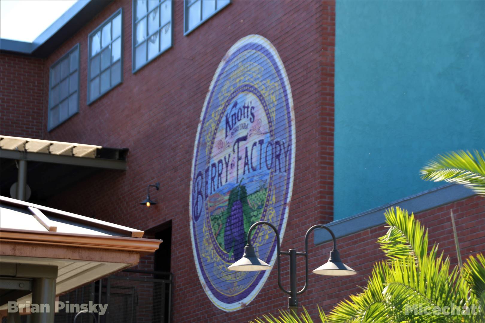 , Knott’s Berry Farm Partially Opens for NEW Festival!