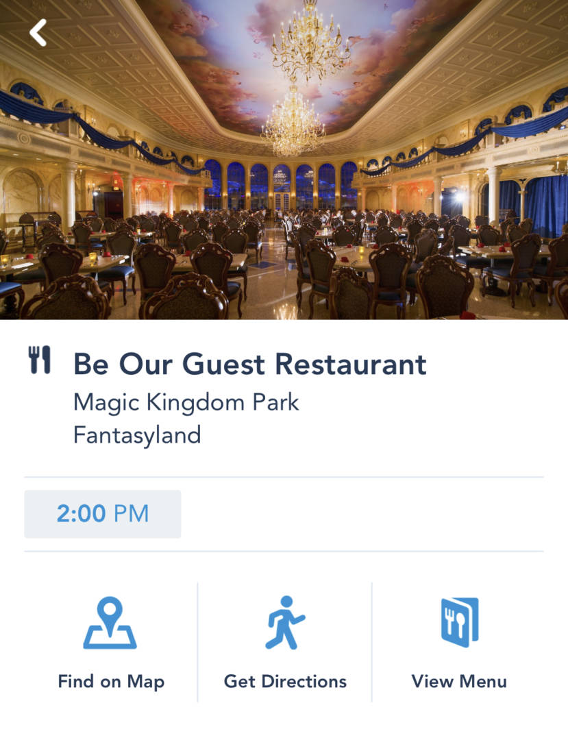 , Disney World Update – Risks and Rewards