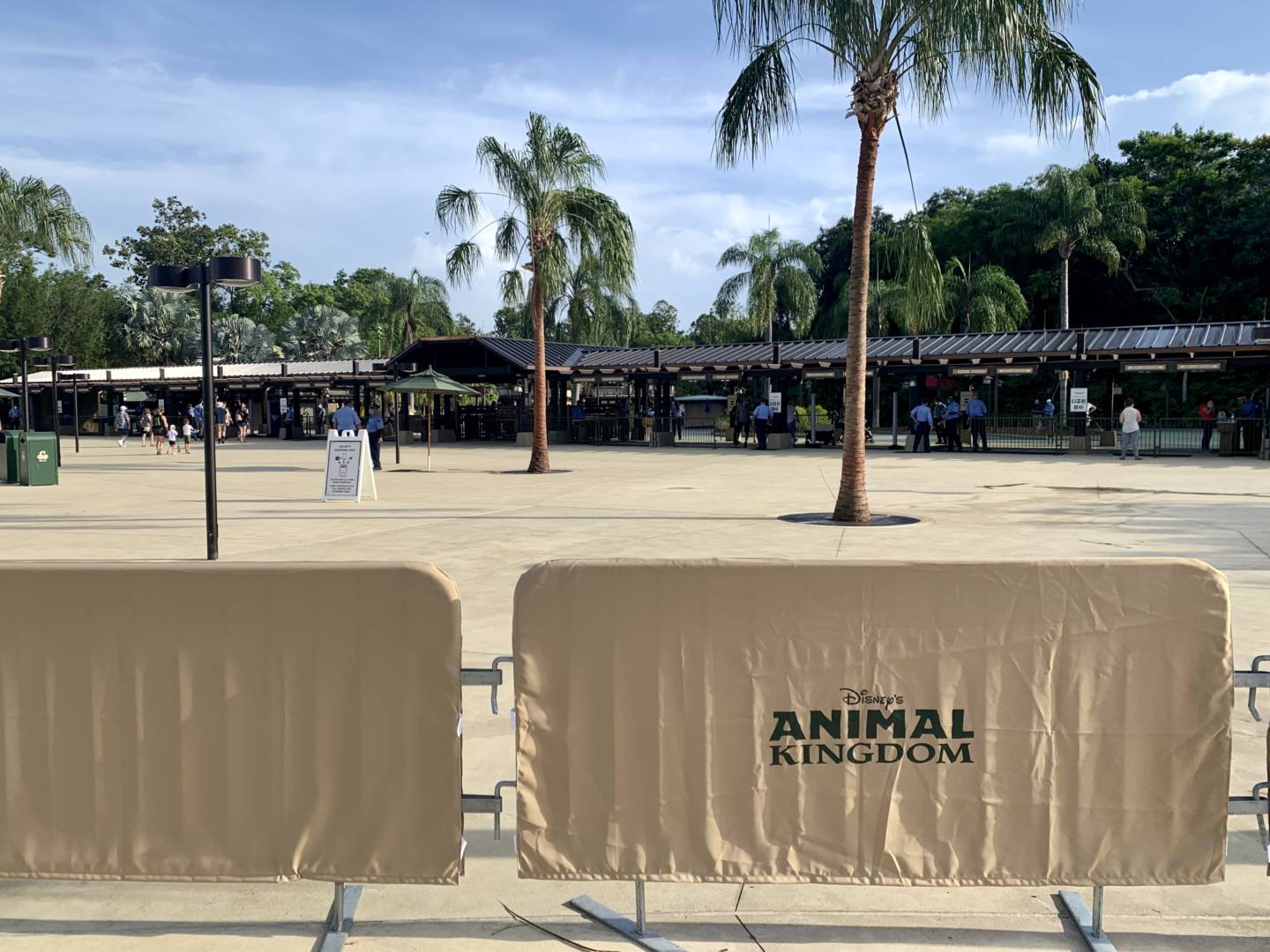 , Was the Reopening of Disney’s Animal Kingdom a Roaring Success?