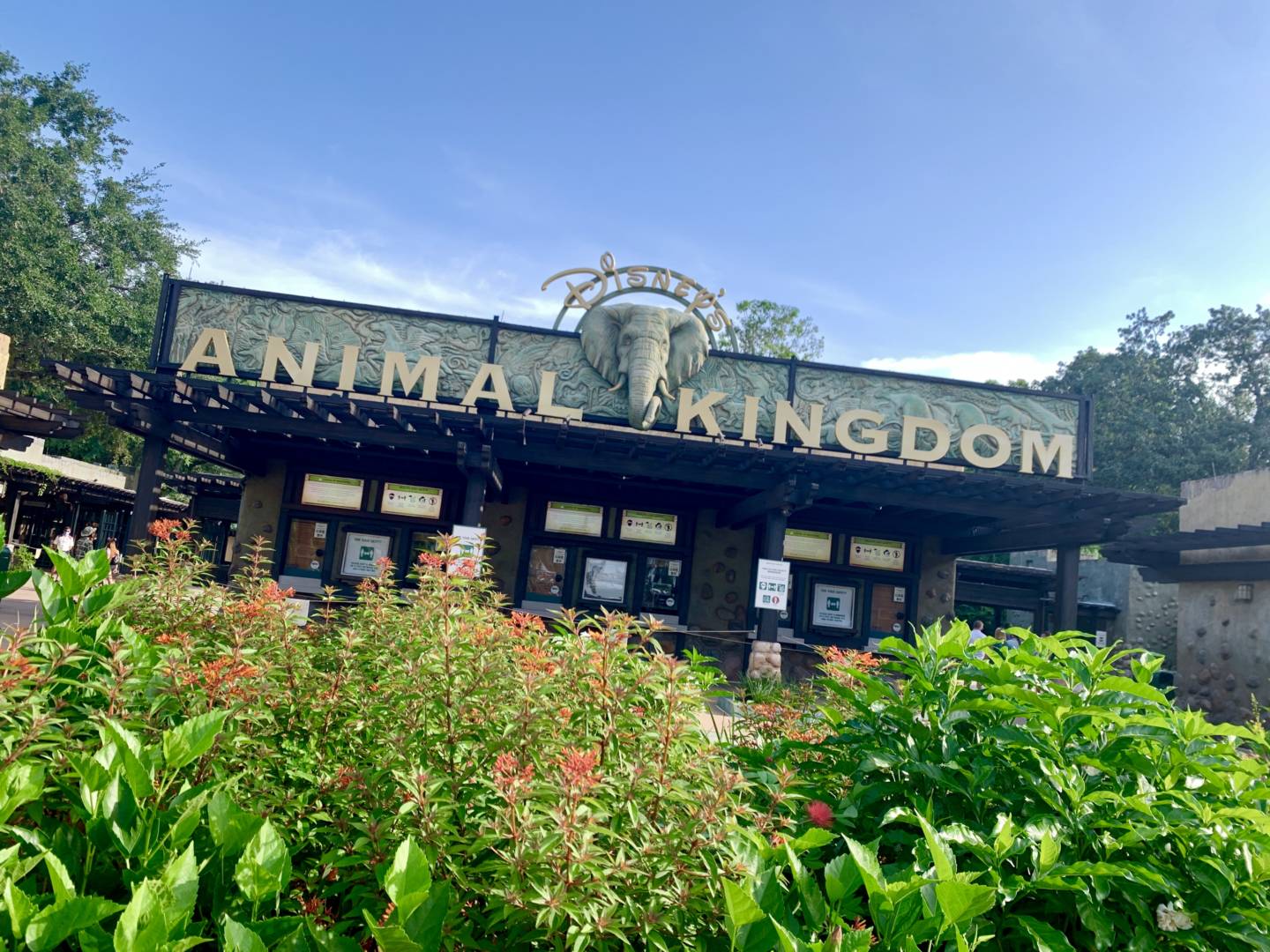 , Was the Reopening of Disney’s Animal Kingdom a Roaring Success?