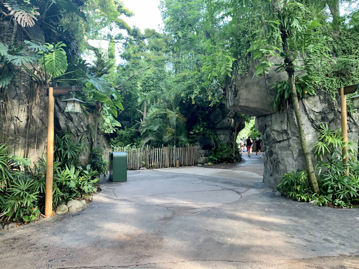 , Was the Reopening of Disney’s Animal Kingdom a Roaring Success?