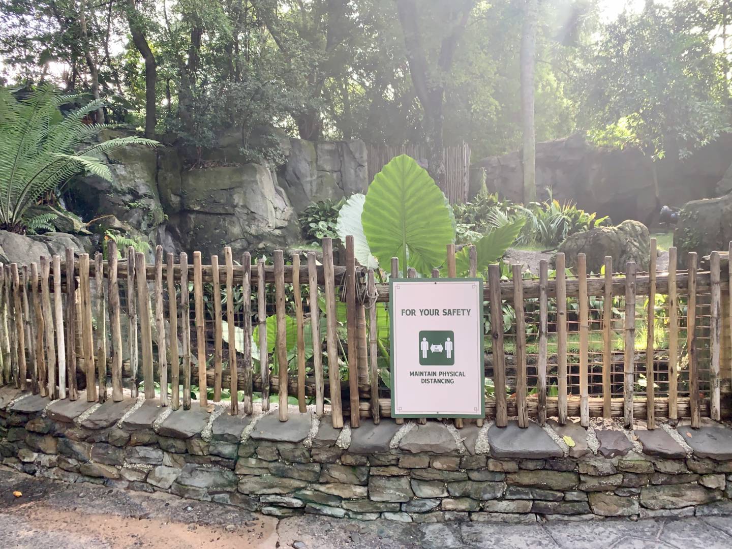 , Was the Reopening of Disney’s Animal Kingdom a Roaring Success?