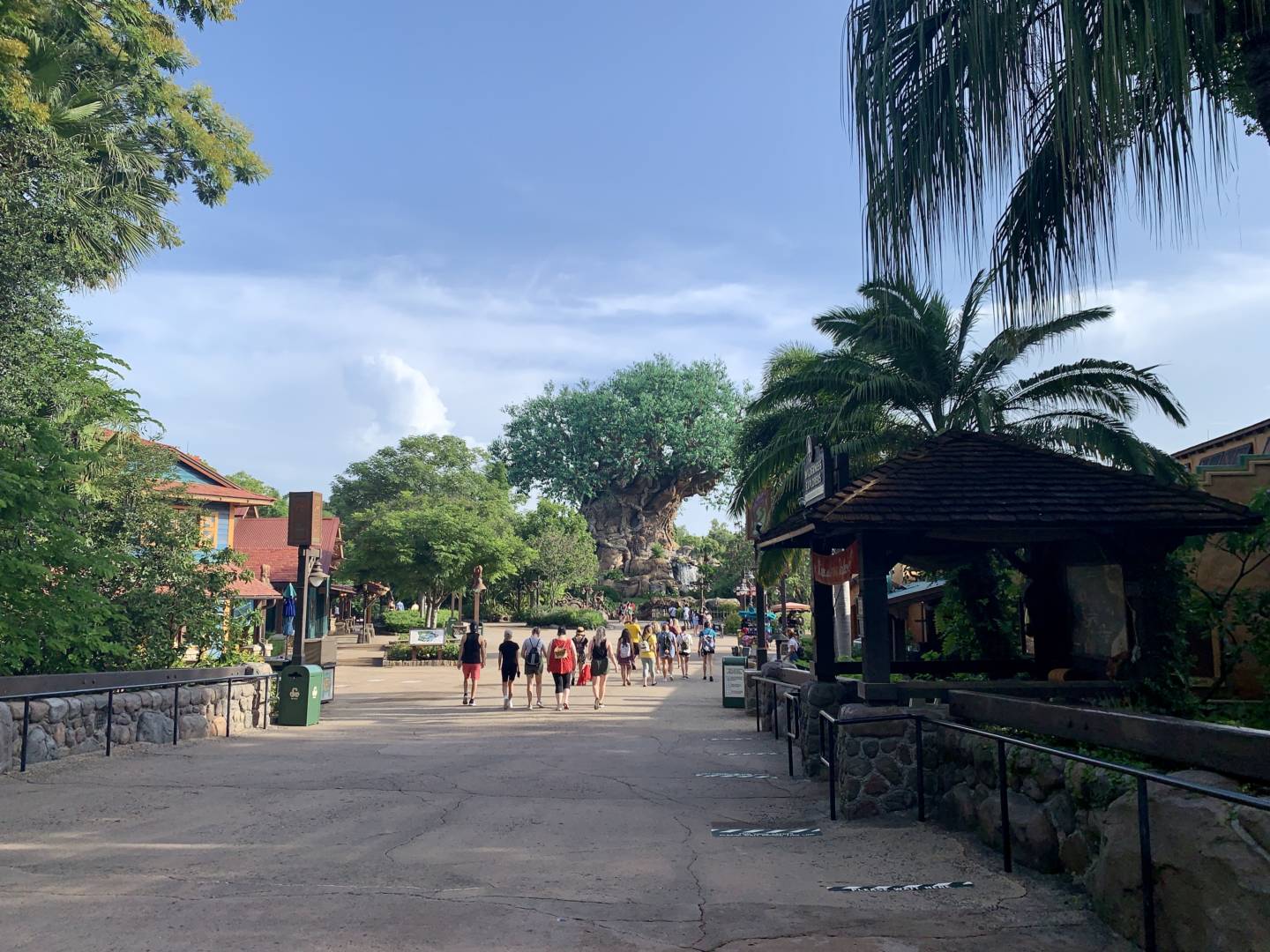 , Was the Reopening of Disney’s Animal Kingdom a Roaring Success?