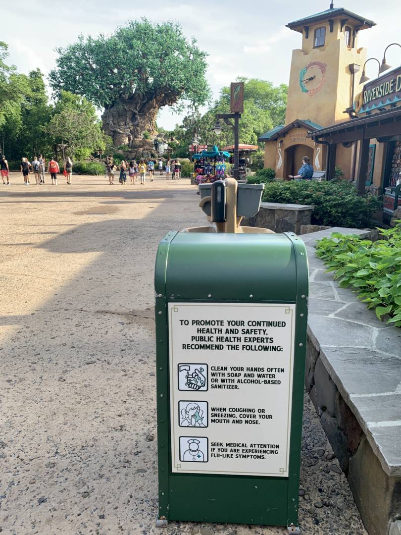 , Was the Reopening of Disney’s Animal Kingdom a Roaring Success?