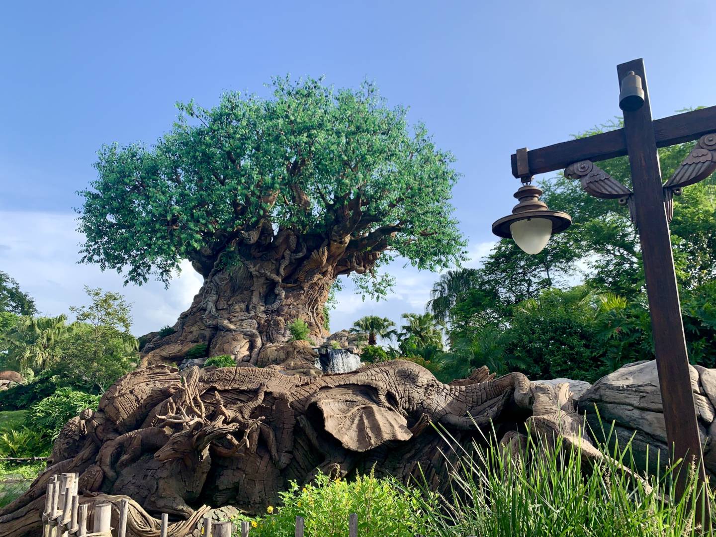 , Was the Reopening of Disney’s Animal Kingdom a Roaring Success?