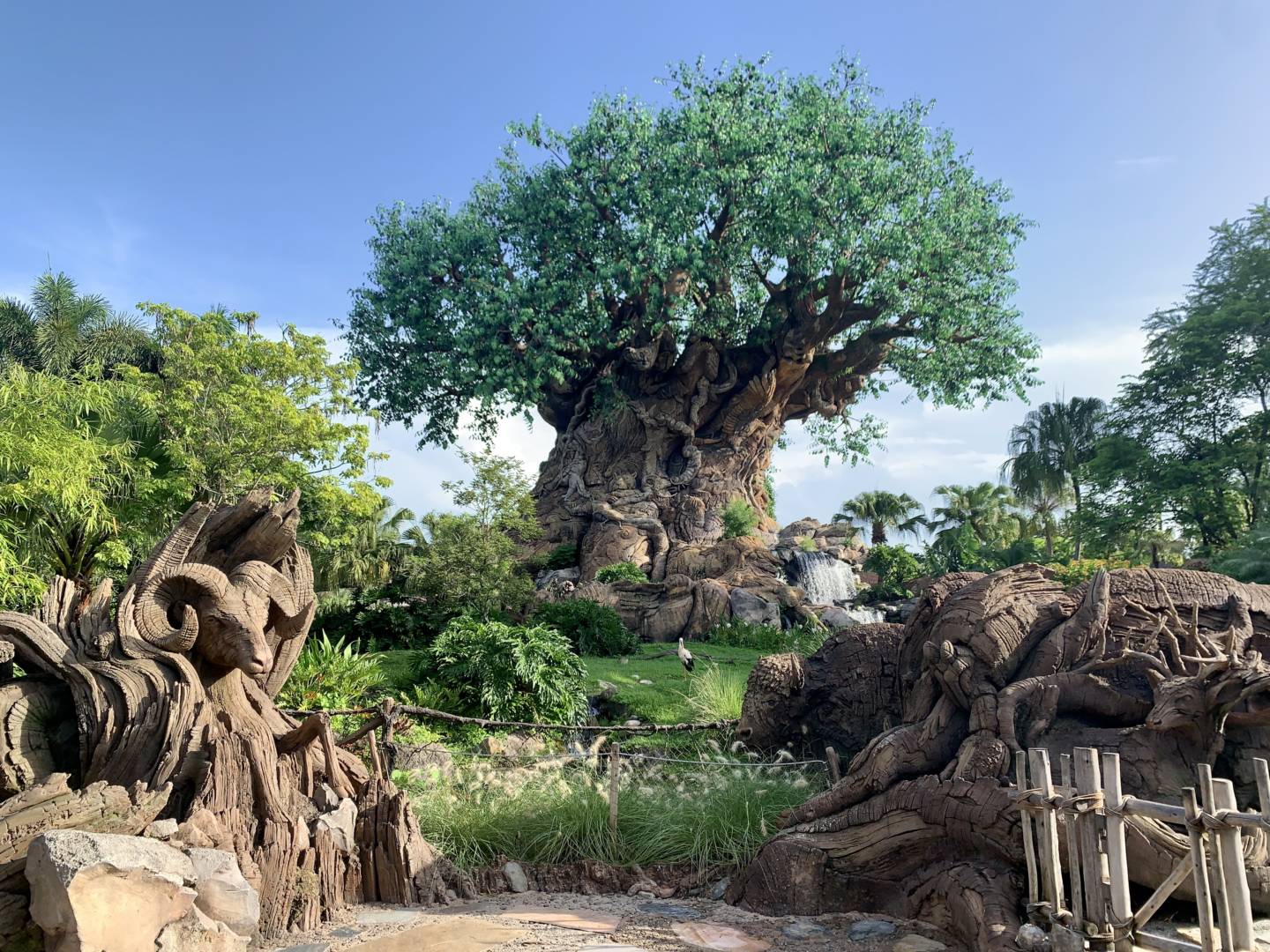 , Was the Reopening of Disney’s Animal Kingdom a Roaring Success?