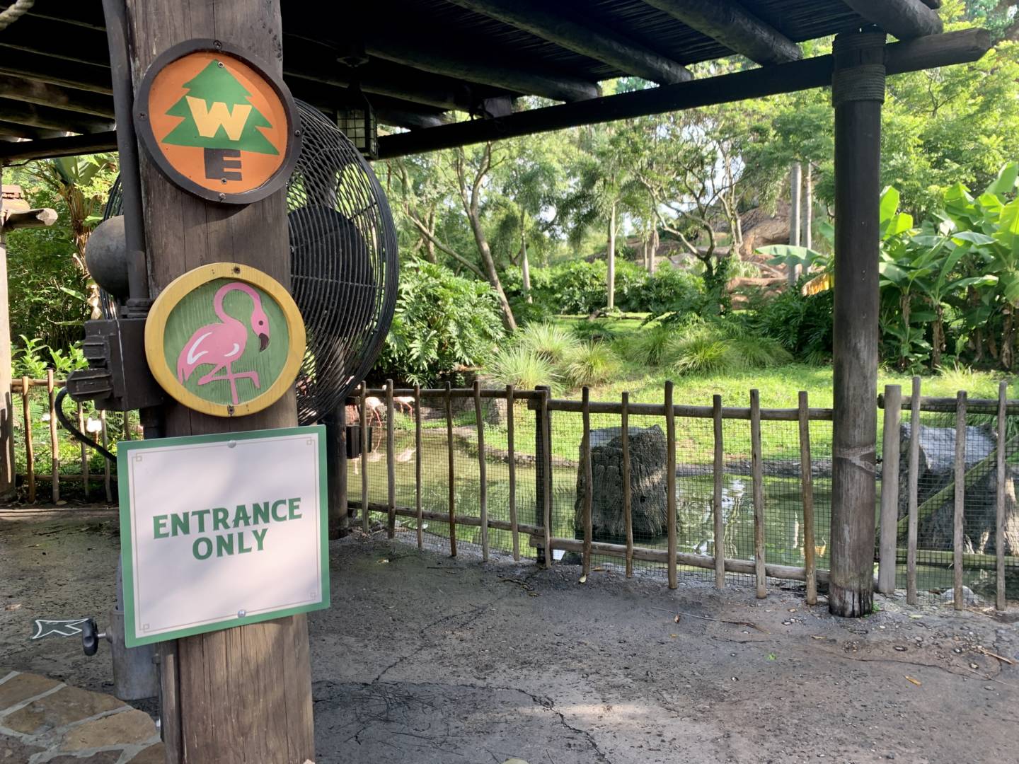 , Was the Reopening of Disney’s Animal Kingdom a Roaring Success?