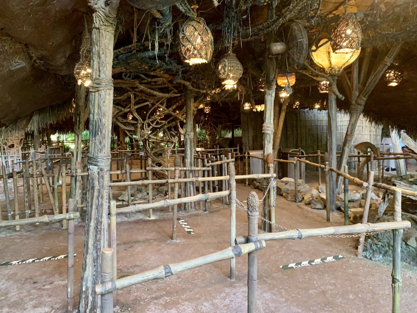 , Was the Reopening of Disney’s Animal Kingdom a Roaring Success?